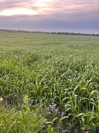 10 Acres of Improved Land for Sale in Copperas Cove, Texas