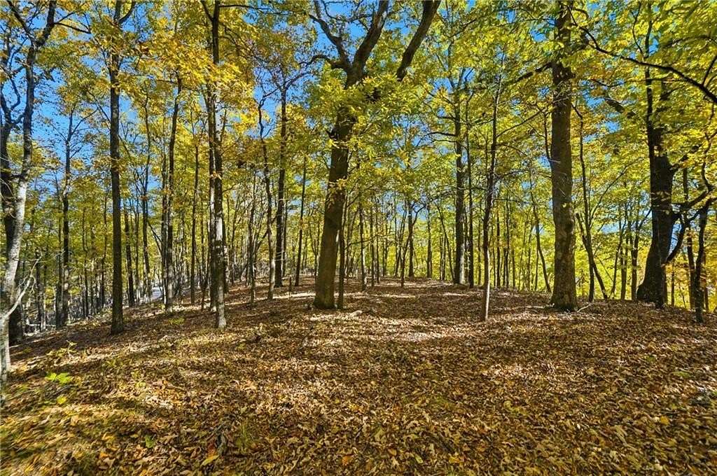 50 Acres of Agricultural Land for Sale in Talking Rock, Georgia