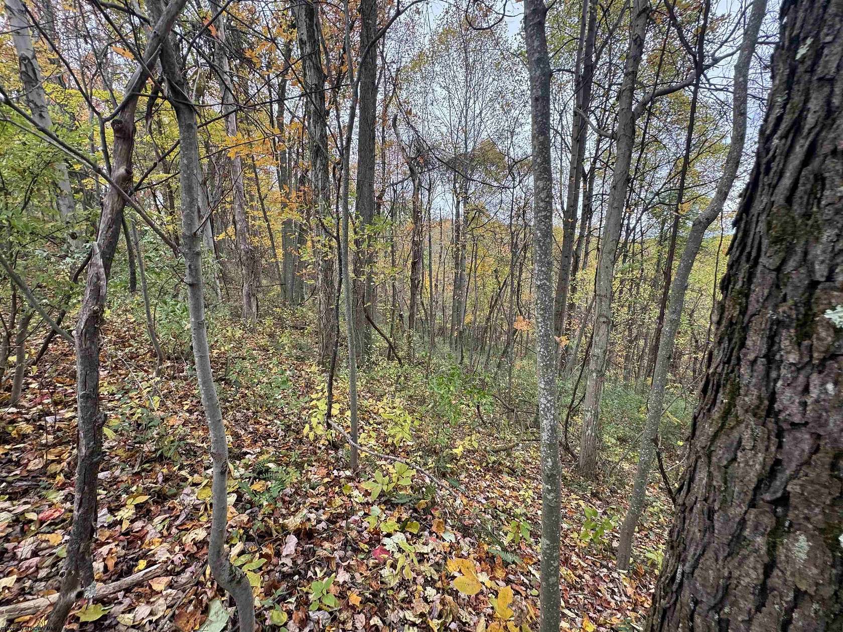 4.29 Acres of Residential Land for Sale in Masontown, West Virginia