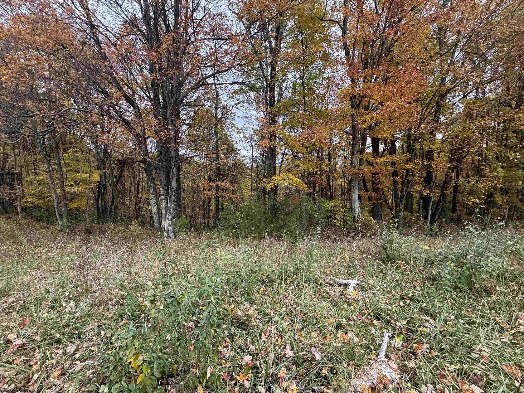 4.29 Acres of Residential Land for Sale in Masontown, West Virginia