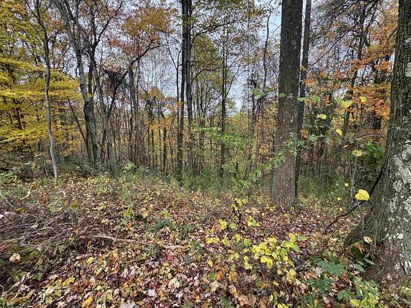 4.29 Acres of Residential Land for Sale in Masontown, West Virginia