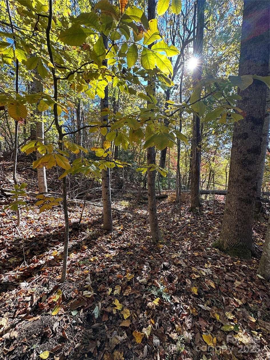 1 Acre of Residential Land for Sale in Laurel Park, North Carolina