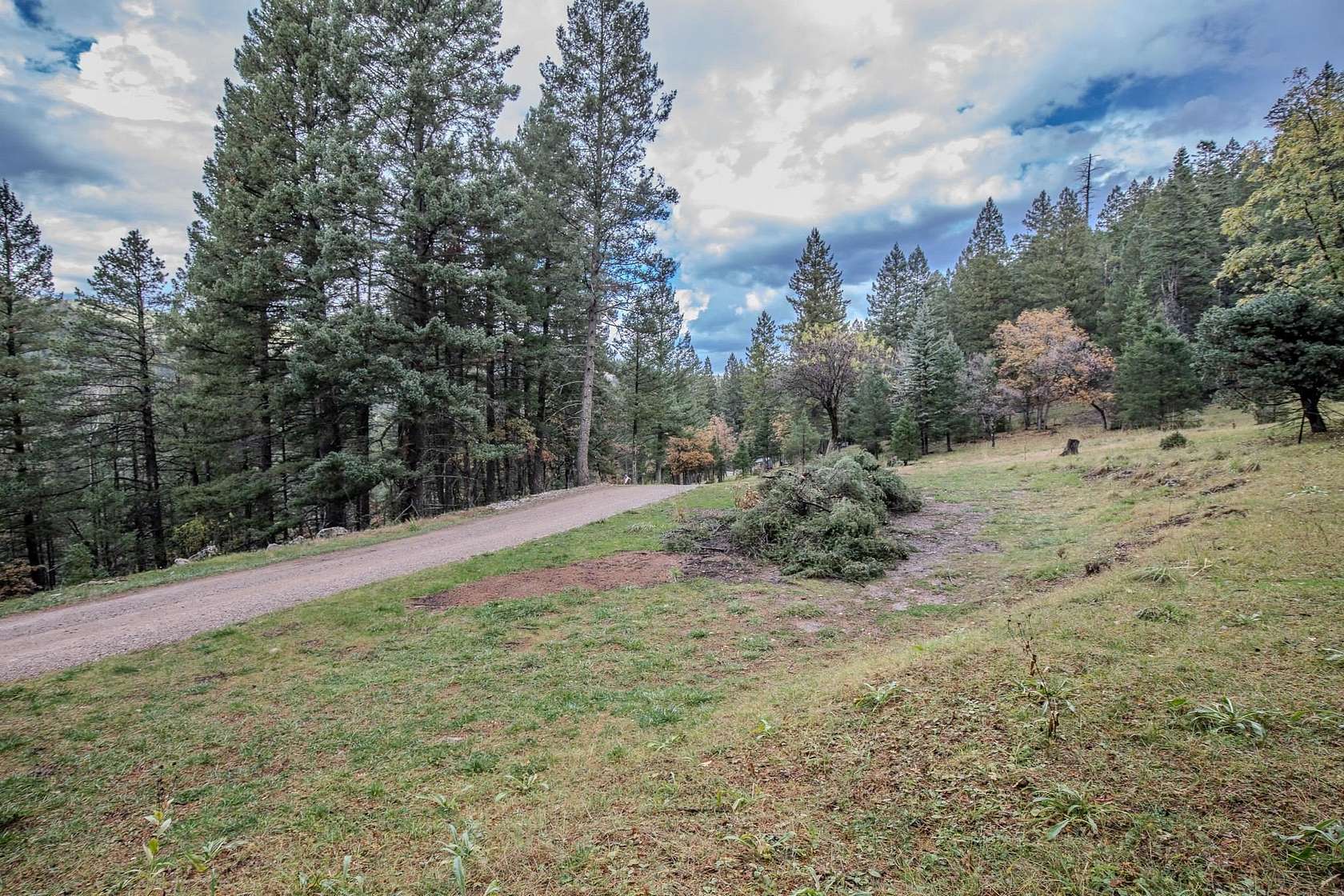 10.1 Acres of Recreational Land for Sale in Cloudcroft, New Mexico