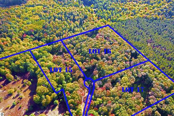 5 Acres of Land for Sale in Williamsburg, Michigan