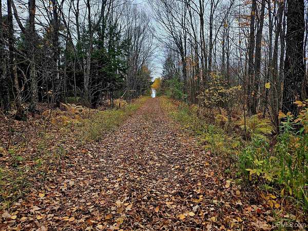 19.9 Acres of Land for Sale in Wakefield, Michigan