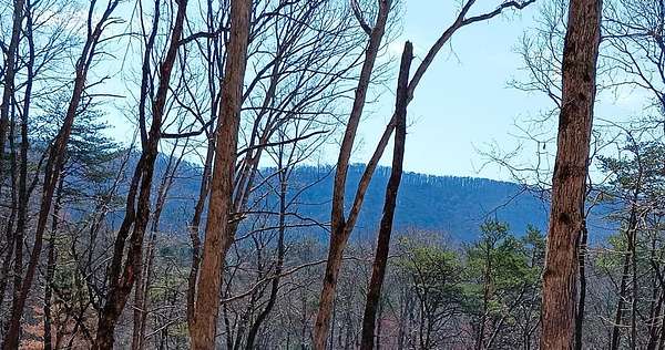 2 Acres of Residential Land for Sale in Blue Ridge, Georgia