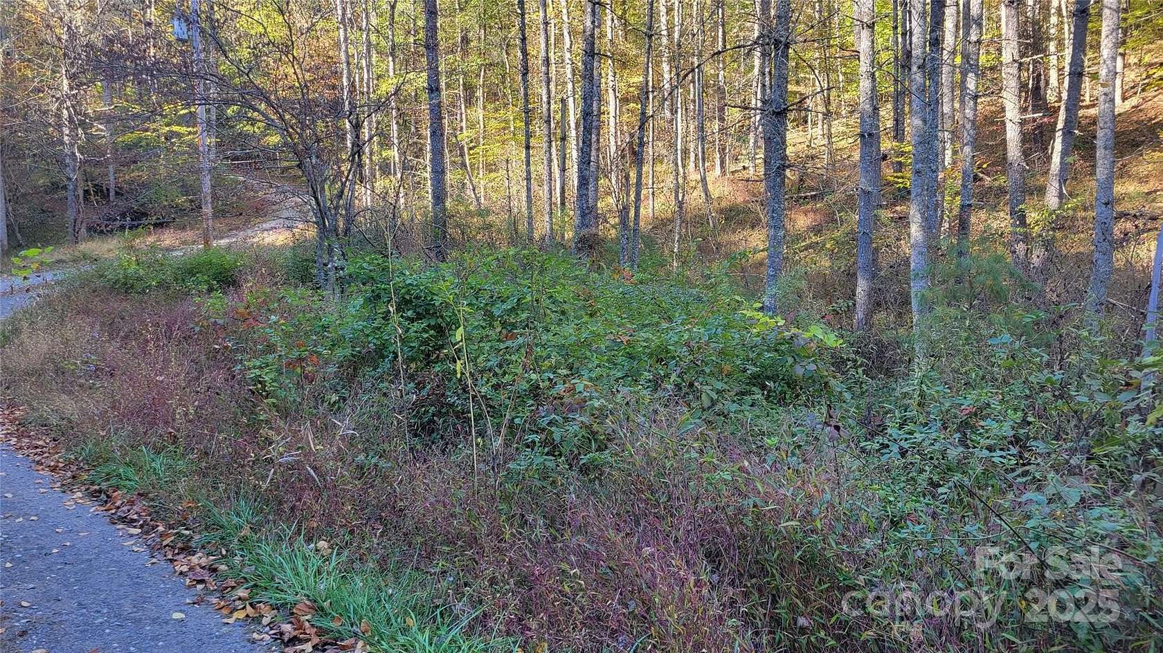 1.42 Acres of Land for Sale in Green Mountain, North Carolina
