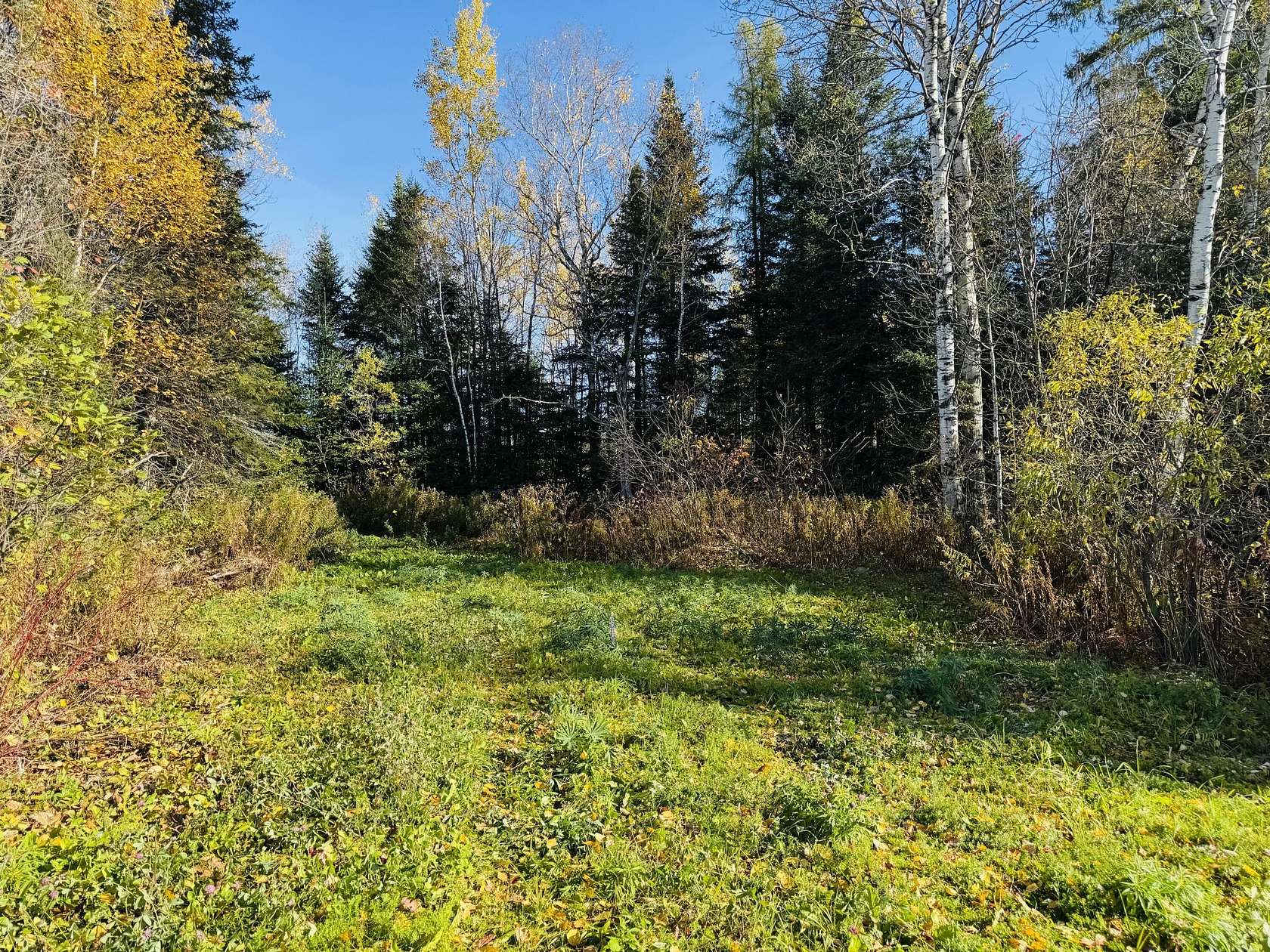 5 Acres of Residential Land for Sale in Mapleton, Maine