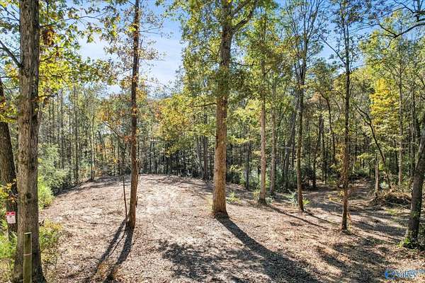 3 Acres of Residential Land for Sale in Arab, Alabama