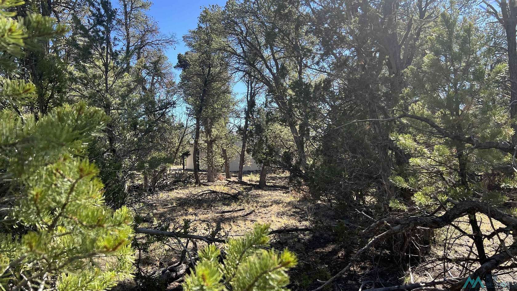 1.5 Acres of Residential Land for Sale in Quemado, New Mexico