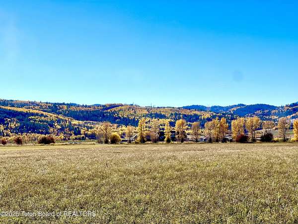 2.5 Acres of Residential Land for Sale in Victor, Idaho