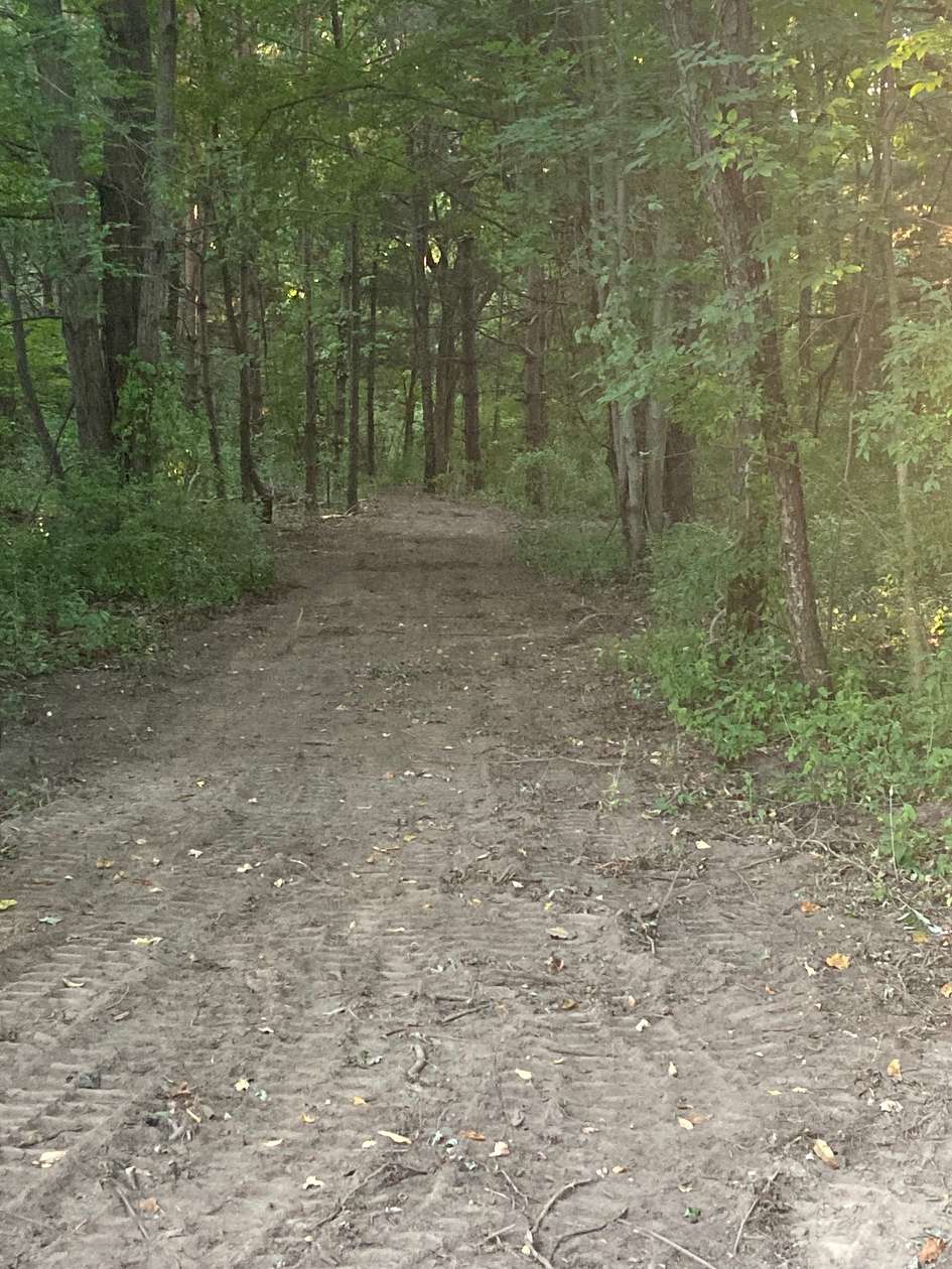 5 Acres of Residential Land for Sale in Somerset, Michigan