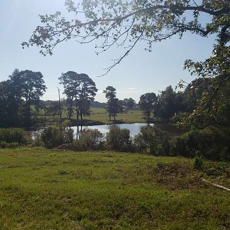 25.3 Acres of Agricultural Land for Sale in Calhoun, Louisiana