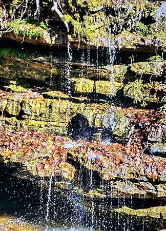 17.3 Acres of Recreational Land & Farm for Sale in Lawrenceburg, Tennessee