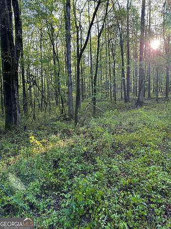 23.4 Acres of Land for Sale in Locust Grove, Georgia