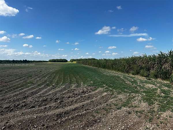 13.1 Acres of Agricultural Land for Sale in Homestead, Florida