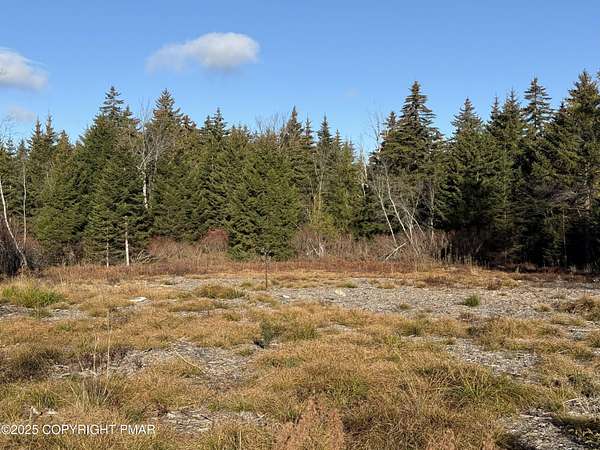 0.45 Acres of Residential Land for Sale in Tobyhanna, Pennsylvania