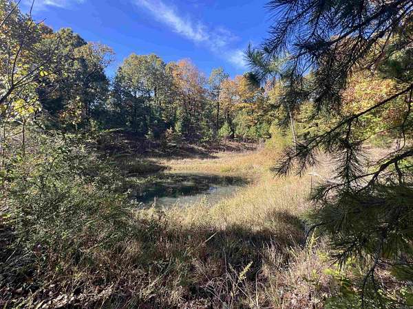 14.9 Acres of Recreational & Residential Land for Sale in Leslie, Arkansas