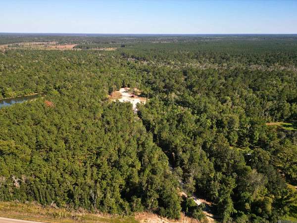 33.5 Acres of Recreational Land for Sale in Holden, Louisiana