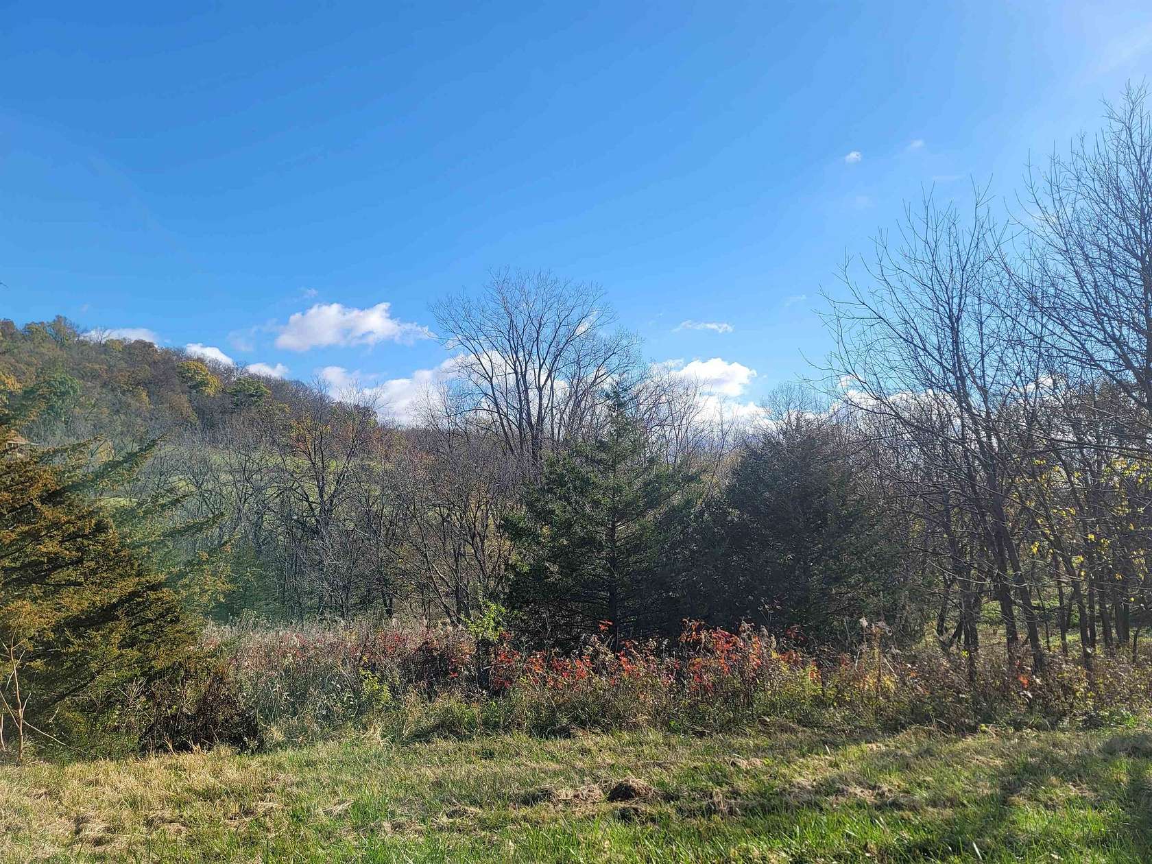 1.56 Acres of Land for Sale in Galena, Illinois