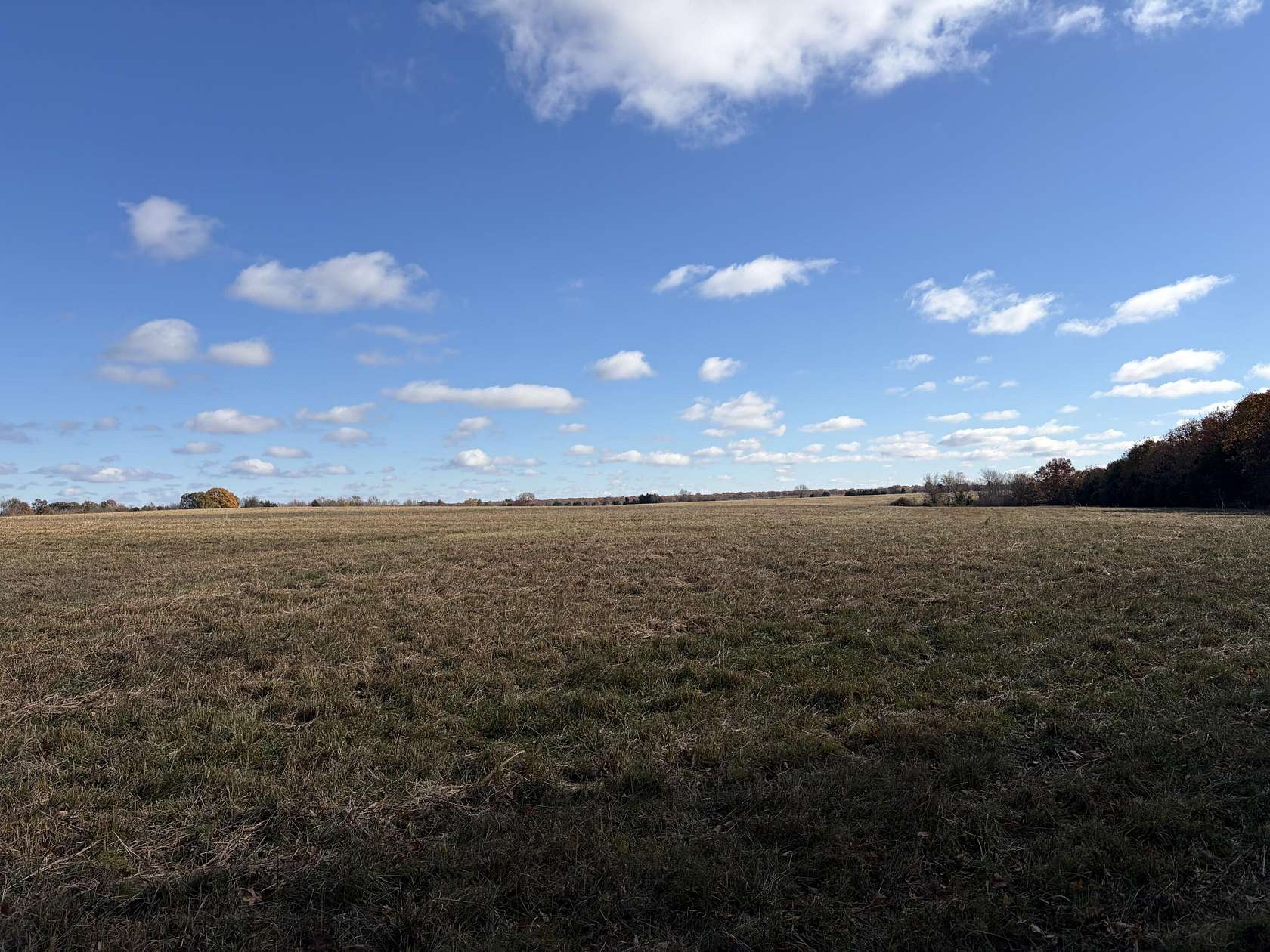 100 Acres of Agricultural Land for Sale in Osceola, Missouri
