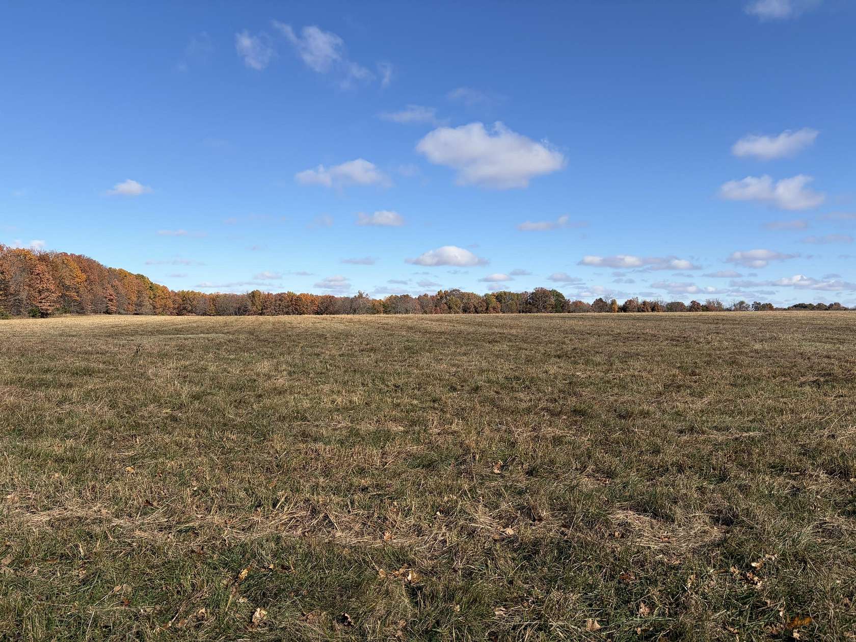 100 Acres of Agricultural Land for Sale in Osceola, Missouri