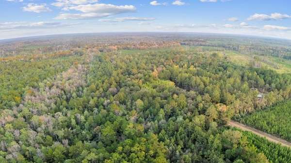 6.23 Acres of Land for Sale in Burkeville, Texas