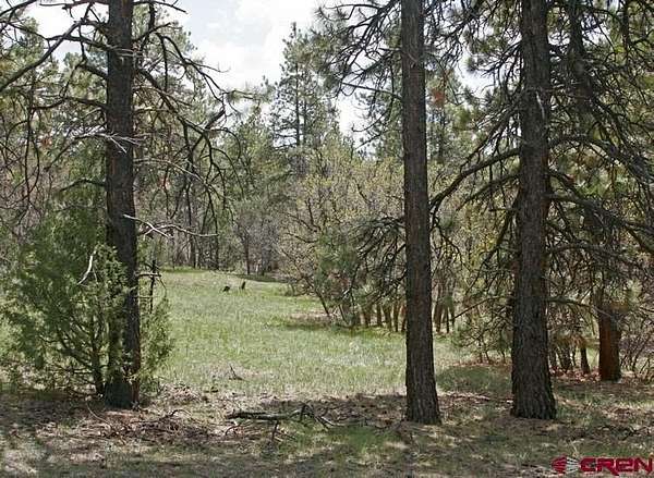 35.1 Acres of Land for Sale in Pagosa Springs, Colorado
