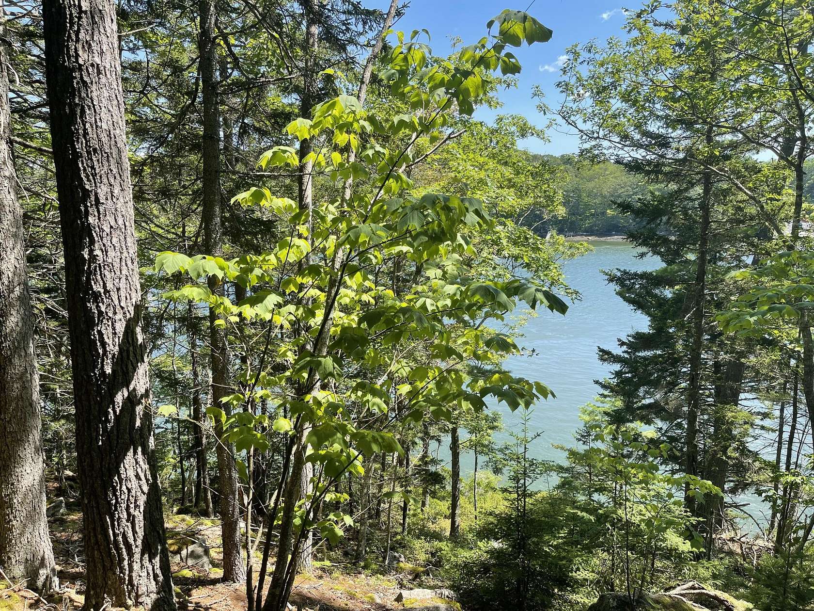 2.2 Acres of Residential Land for Sale in Westport Island, Maine