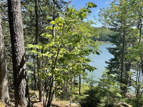 2.2 Acres of Residential Land for Sale in Westport Island, Maine