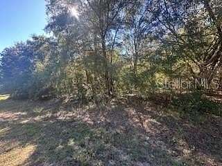 0.25 Acres of Land for Sale in Citrus Springs, Florida