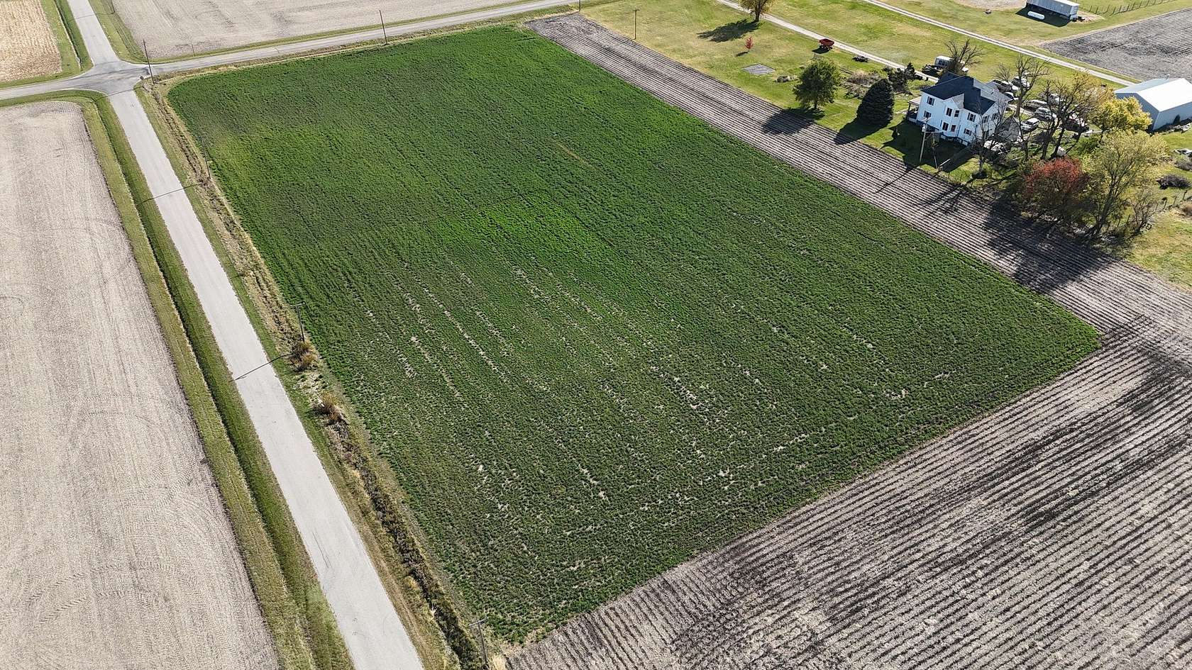 5 Acres of Residential Land for Sale in Odell, Illinois