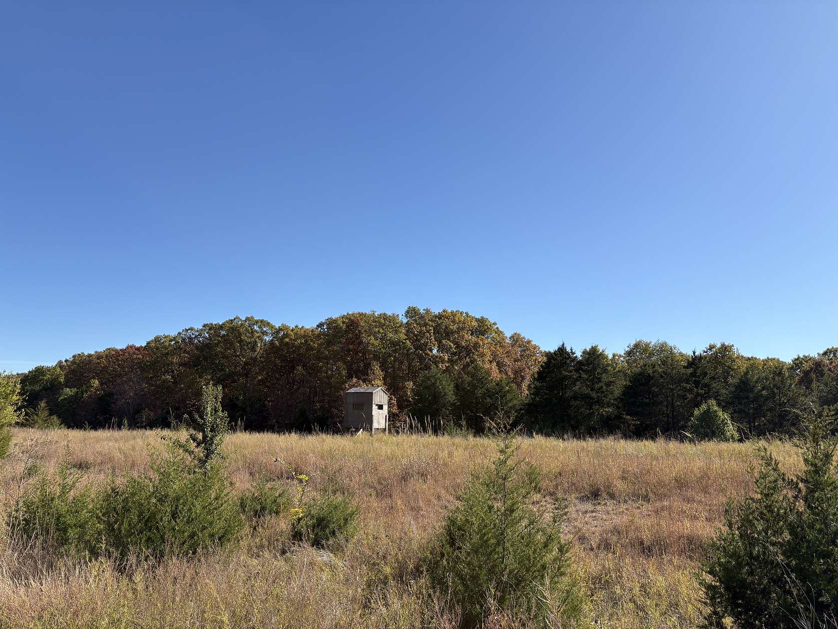 22 Acres of Land for Sale in Newburg, Missouri