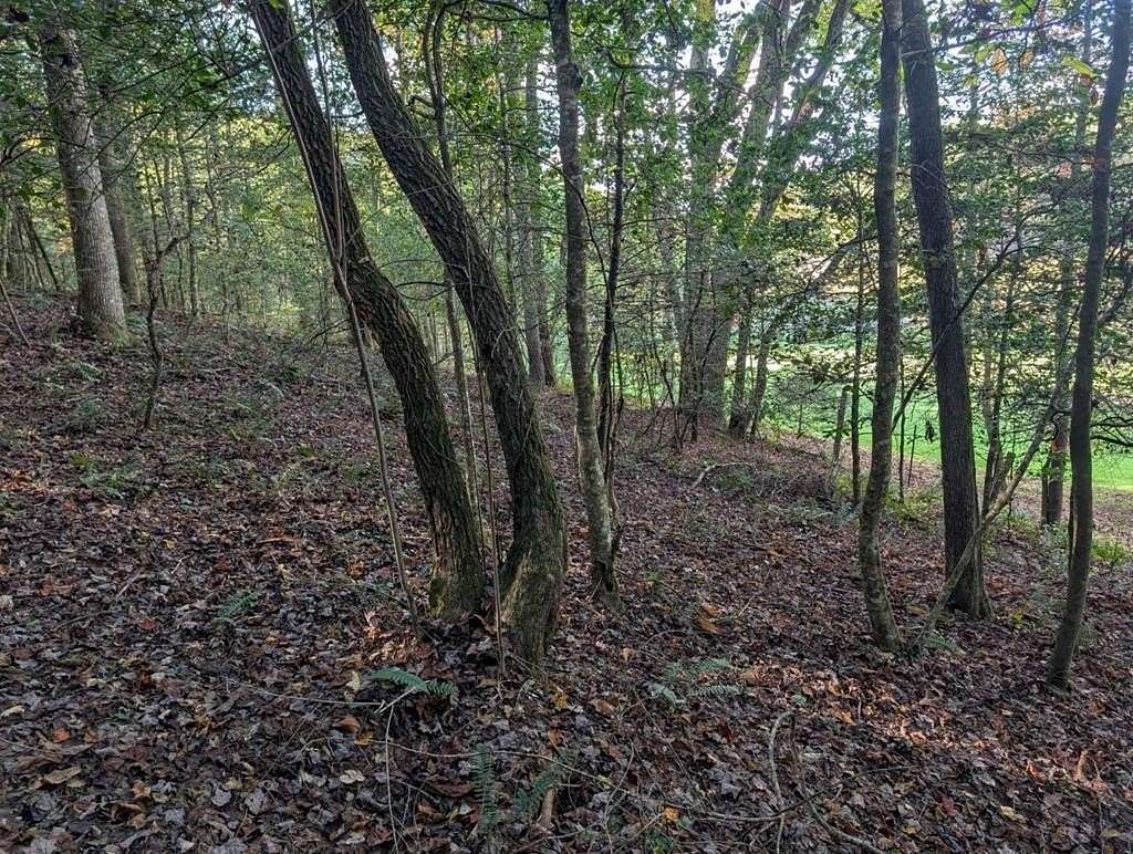 Residential Land for Sale in Murphy, North Carolina