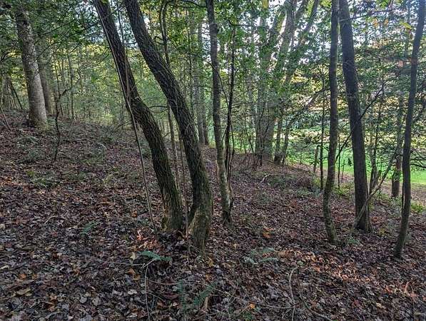 Residential Land for Sale in Murphy, North Carolina