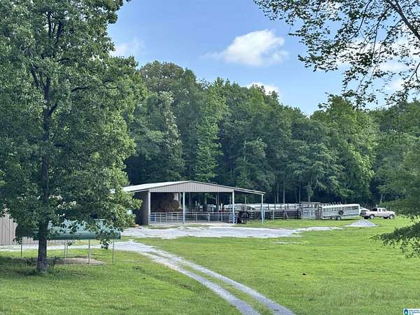 30 Acres of Recreational Land with Home for Sale in Columbiana, Alabama