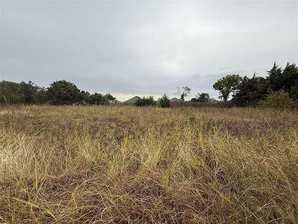 0.32 Acres of Residential Land for Sale in Glenn Heights, Texas