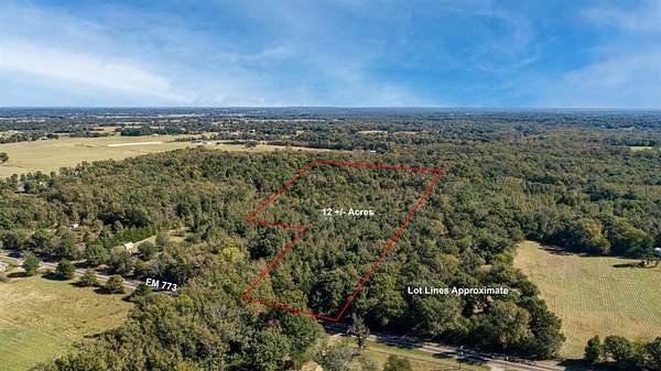 12.2 Acres of Recreational Land for Sale in Ben Wheeler, Texas