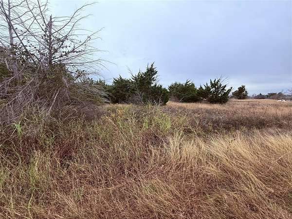 0.1 Acres of Residential Land for Sale in Glenn Heights, Texas