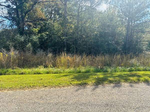 15.6 Acres of Land for Sale in Lumberton, Mississippi