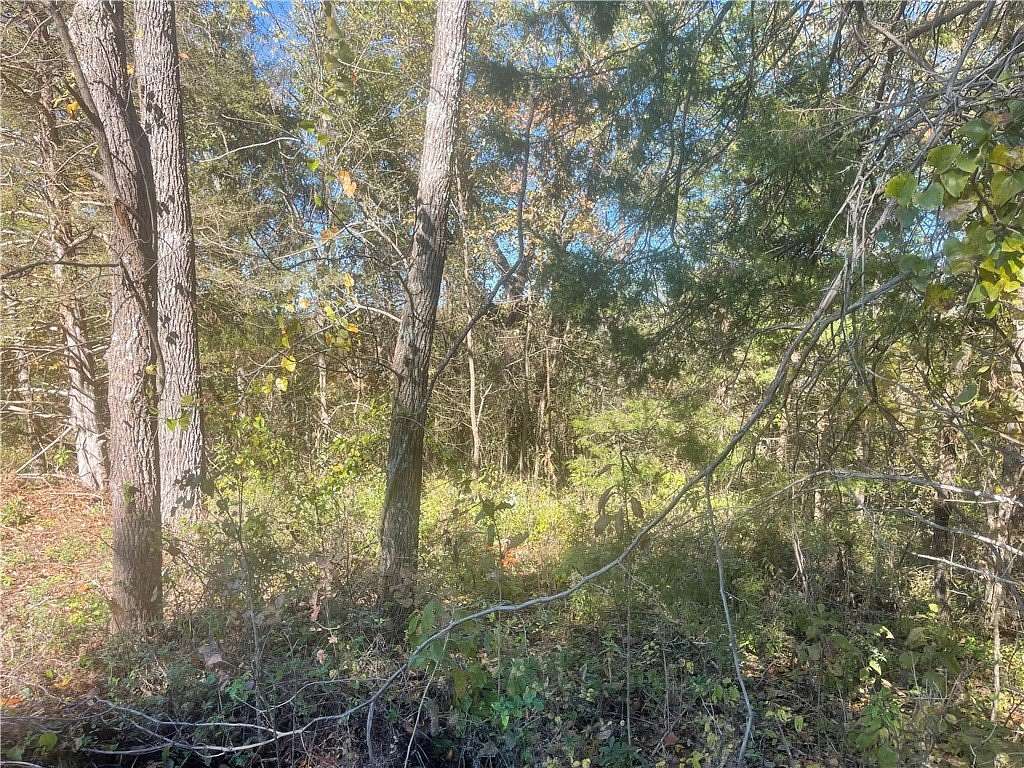 0.49 Acres of Land for Sale in Bella Vista, Arkansas