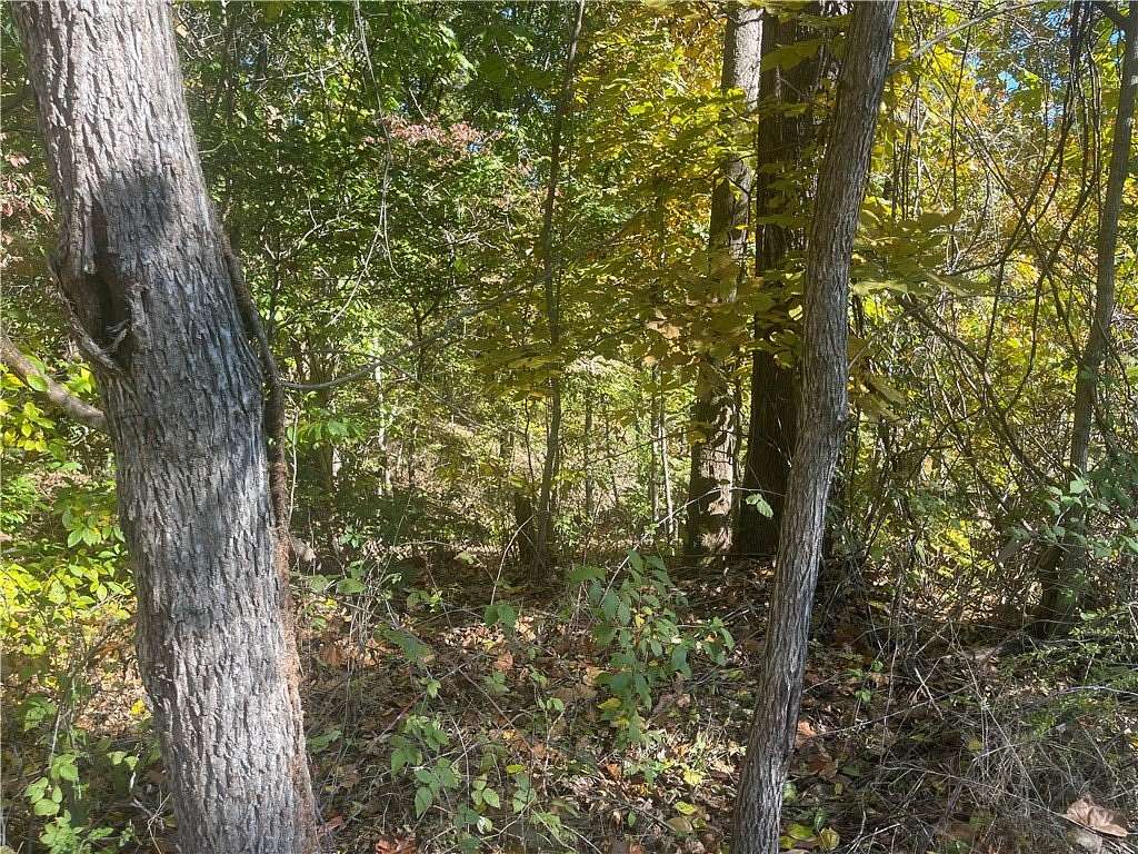 0.27 Acres of Residential Land for Sale in Bella Vista, Arkansas
