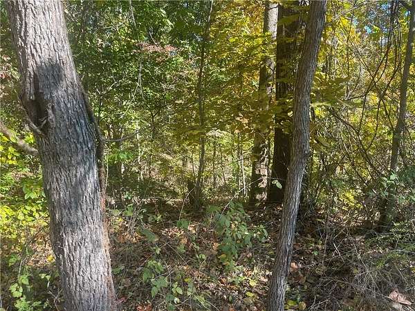 0.27 Acres of Residential Land for Sale in Bella Vista, Arkansas