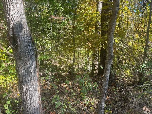 0.27 Acres of Residential Land for Sale in Bella Vista, Arkansas