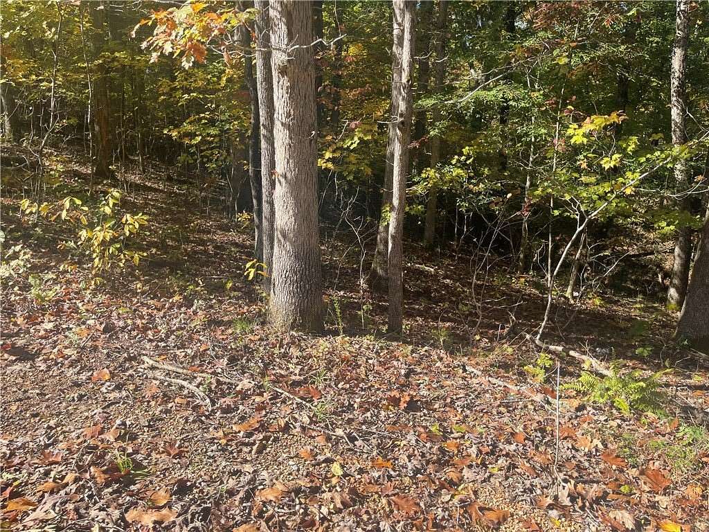 0.33 Acres of Residential Land for Sale in Bella Vista, Arkansas