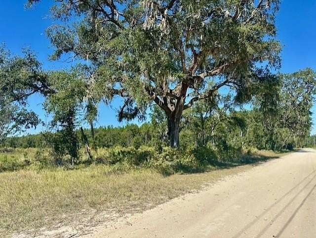 42.9 Acres of Land for Sale in Bronson, Florida