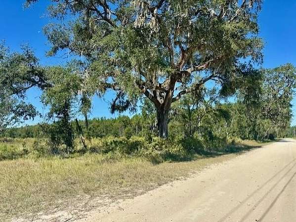 42.9 Acres of Land for Sale in Bronson, Florida