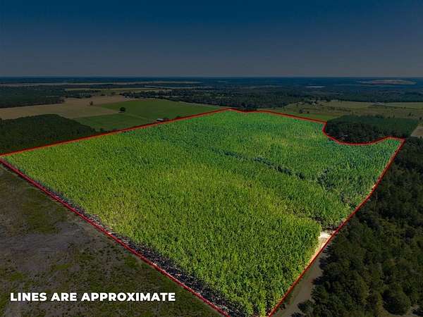 72 Acres of Recreational Land for Sale in Buena Vista, Georgia