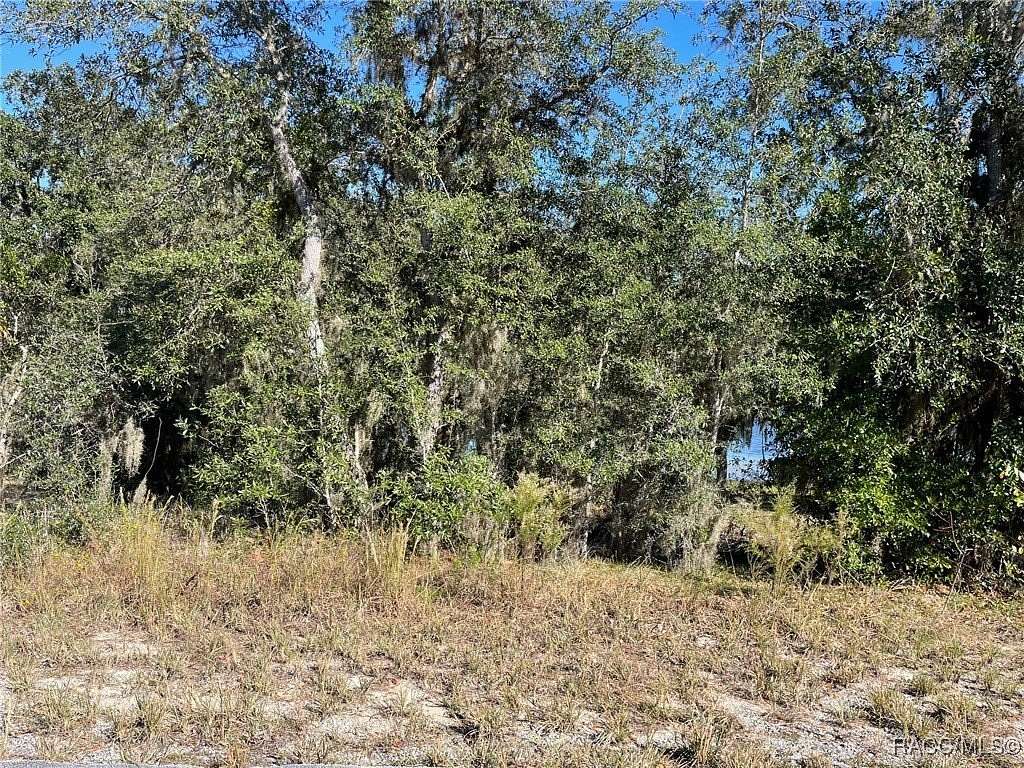 0.35 Acres of Residential Land for Sale in Dunnellon, Florida