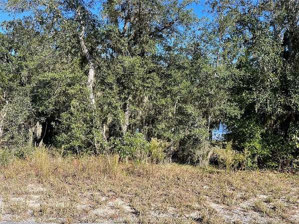 0.35 Acres of Residential Land for Sale in Dunnellon, Florida